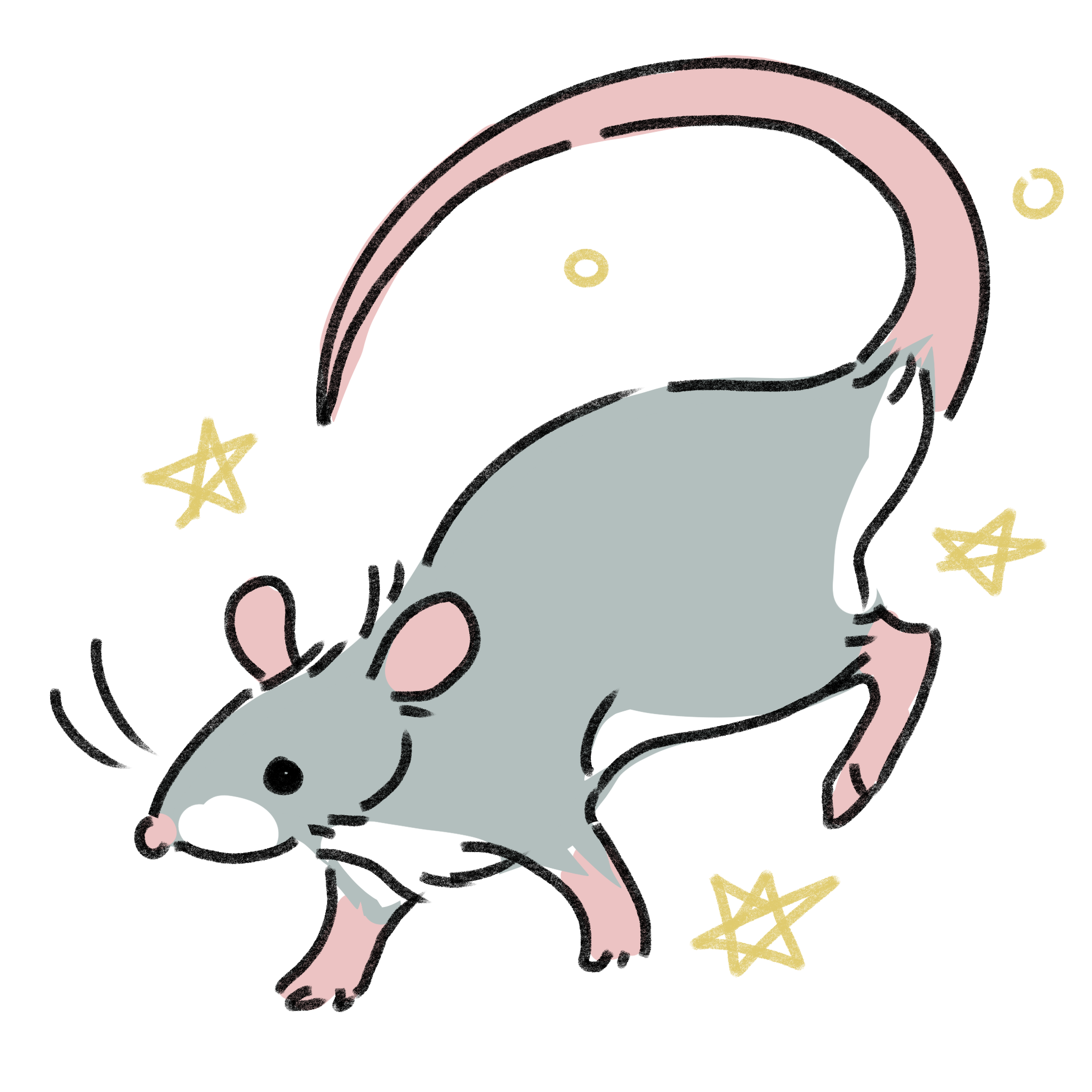 My Rat Drawing